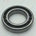 CYLINDRICAL ROLLER BEARING - A7VO250
